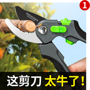 花 修枝剪果树剪刀剪枝园艺修剪树枝专用枝 剪园林工具大全花卉