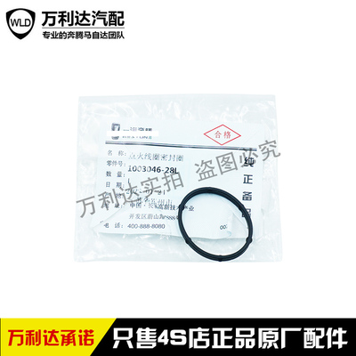 一汽奔腾款点火线圈密封