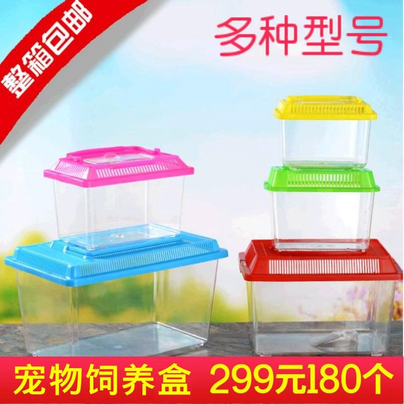 透明塑料乌龟盒仓鼠爬虫