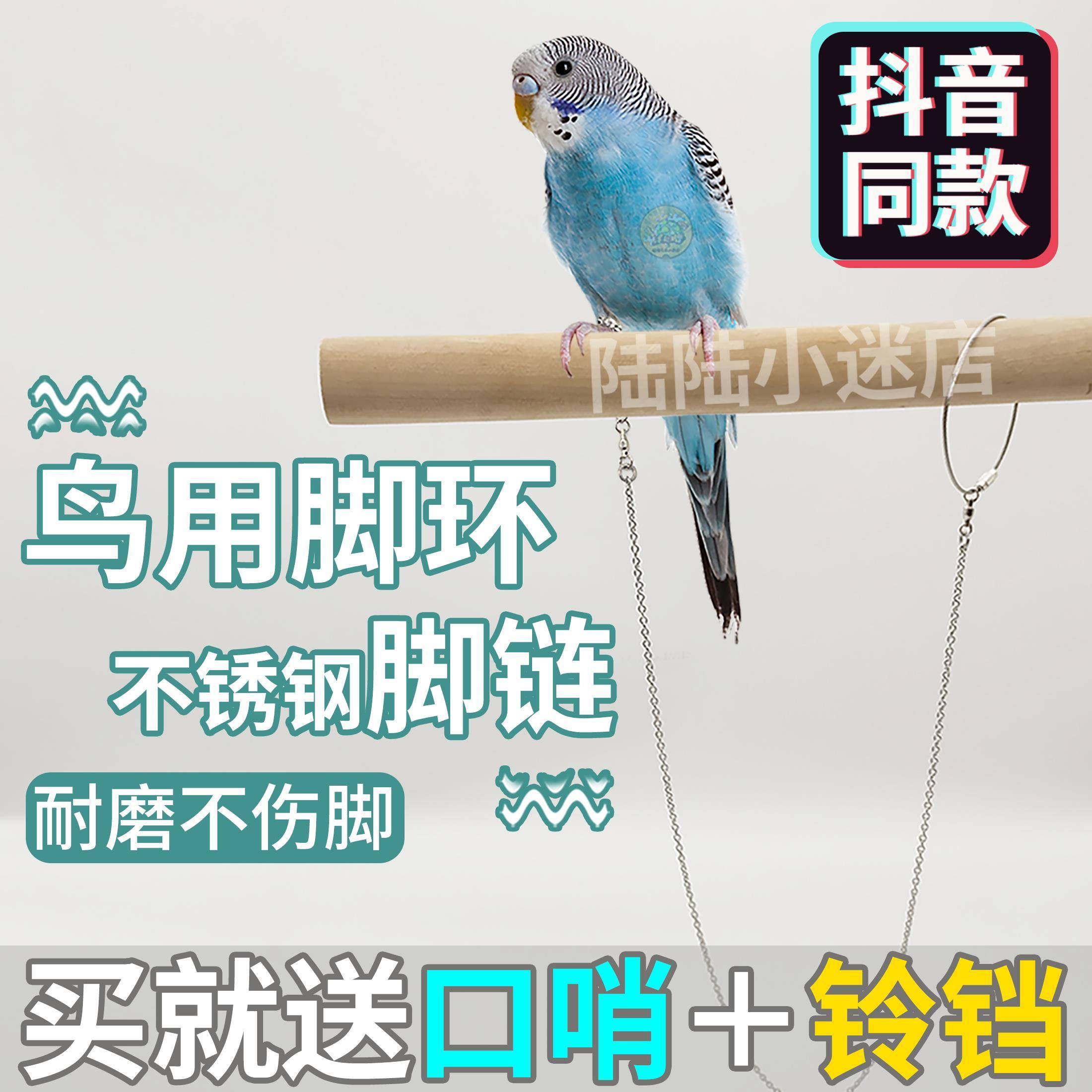 溜鸟神器鹦鹉放飞绳遛鸟绳玄凤脚环脚链不伤脚虎皮鸟牵引绳牡丹