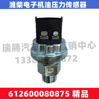 适用于潍柴欧曼德龙电子