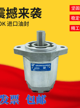 HCHC合肥长源液压齿轮泵CBQL-F540LPR CBQ-F532/550/563-AFP CFH