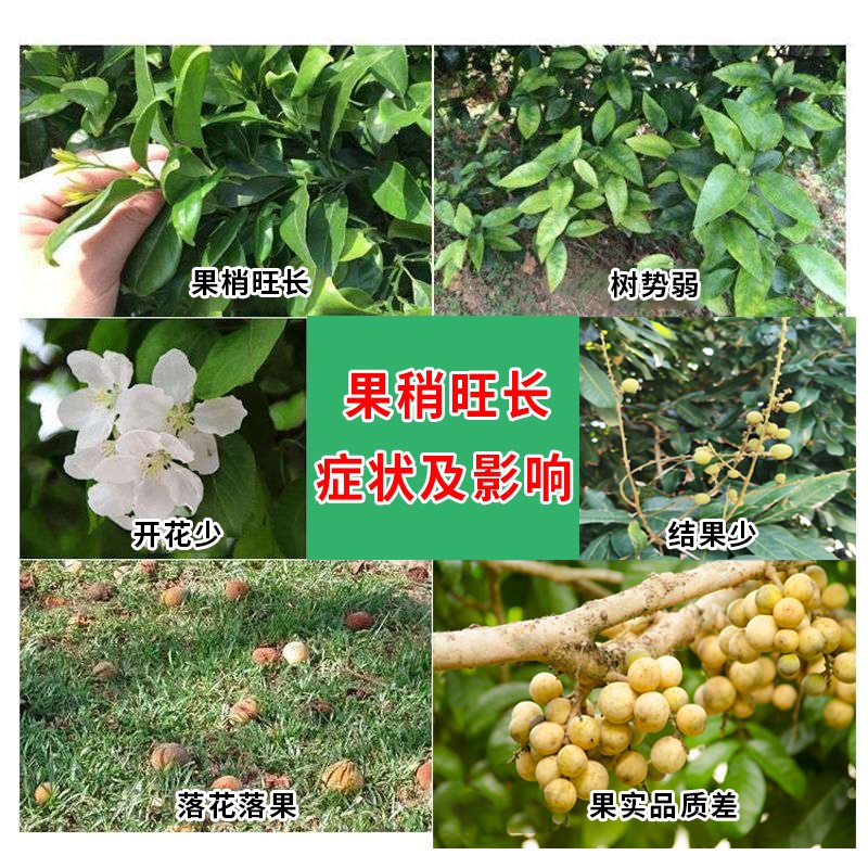 龙眼丰产素荔枝控梢促花素龙眼树专用肥促花催花药座果灵保花保果
