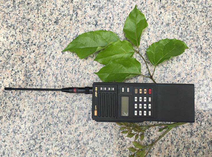 极罕有原装库存日本正品