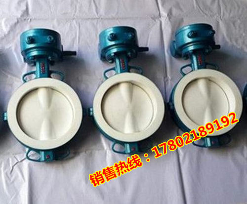 D371F46-16C涡轮衬氟蝶阀耐酸碱腐蚀衬四氟对夹蝶阀DN40-DN700