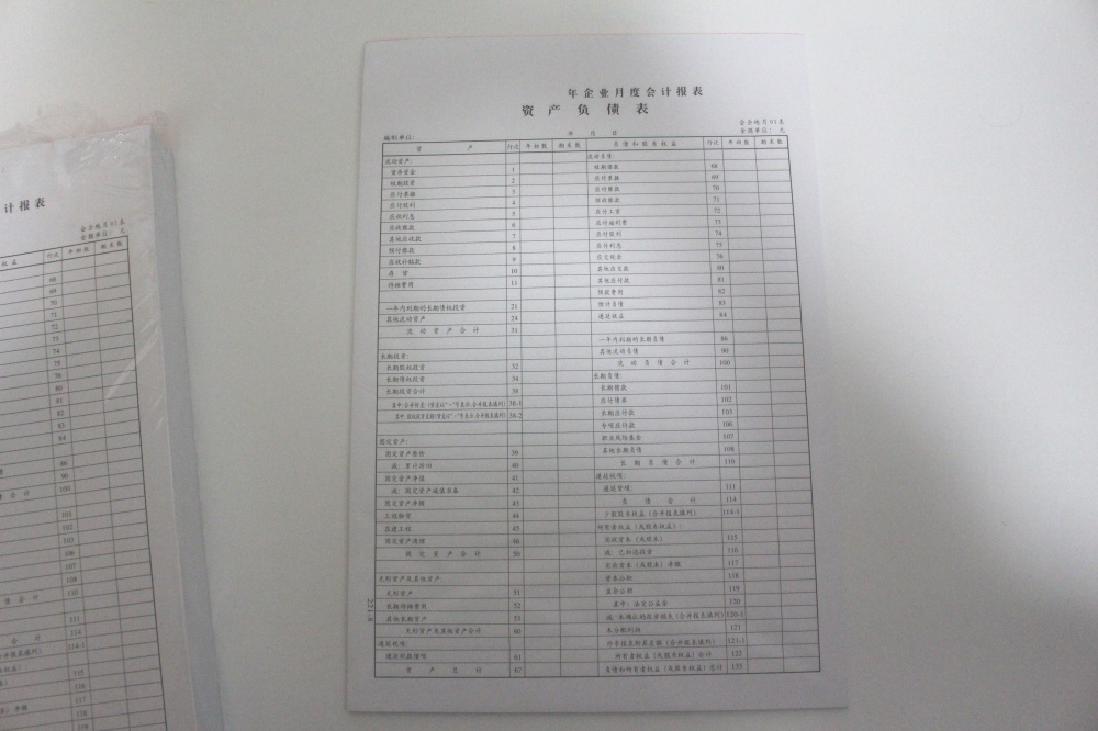 资产负债表强林221-8企业月度会计报表 8K【265*385mm】报表50张