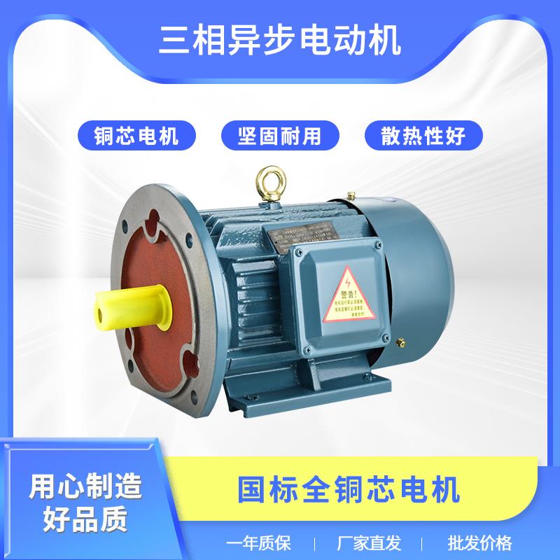三相异步电动机纯铜卧式