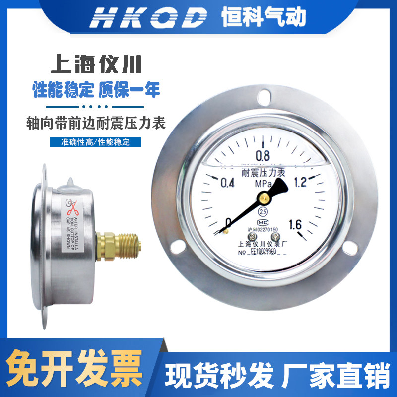 上海仪川轴向带边耐震压