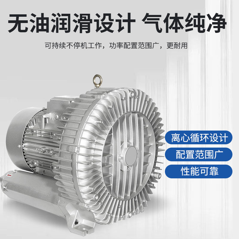 德国进口高压漩涡风机旋