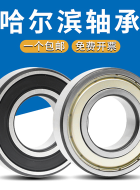 哈尔滨进口高速电机轴承6006 6007 6008 6009 6010 6011ZZ RS ZV3