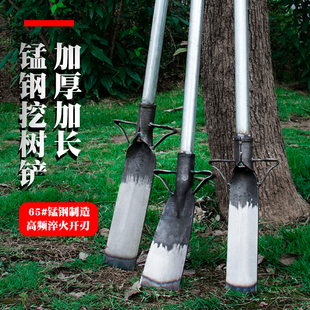 挖树铲子农用铁锹户外挖土沟锰钢工具洛阳铲专用起苗断根挖坑神器