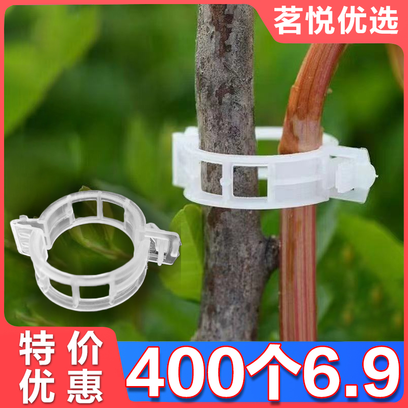绿植果树植物固定夹卡扣藤蔓固定器秧苗爬藤支撑杆果蔬秧苗吊秧夹