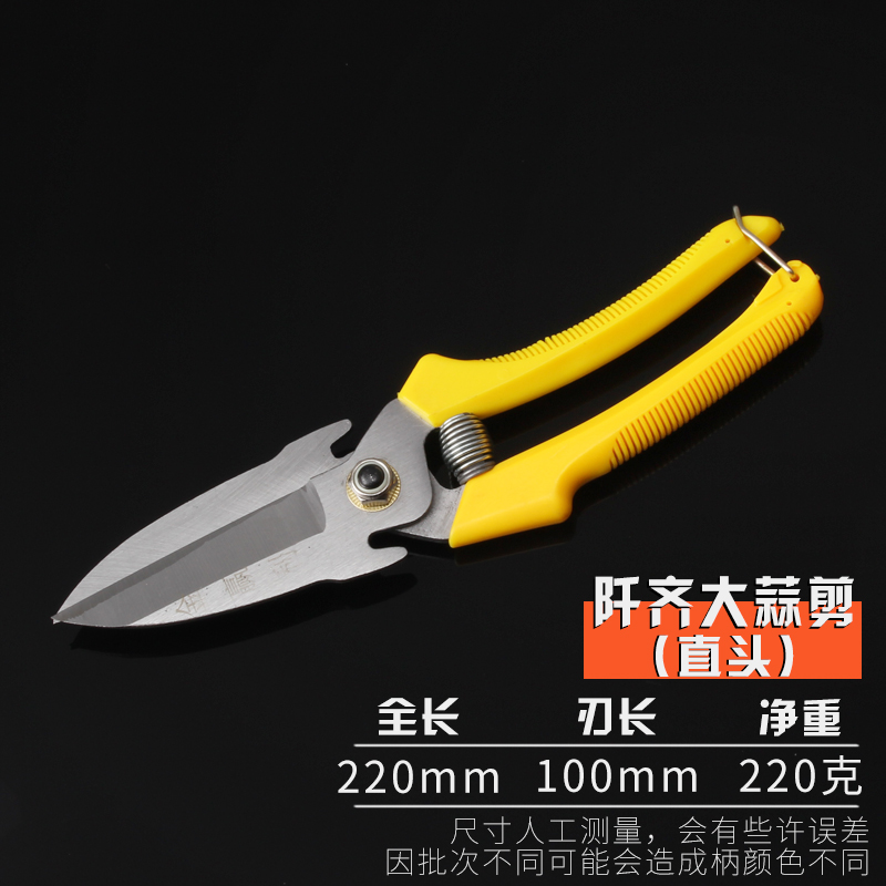 优质大蒜剪刀洋葱头专用