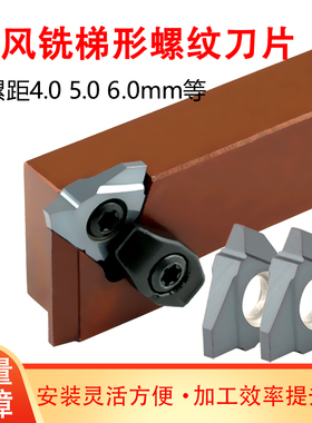 旋风铣超硬30度梯形公制立装T型螺纹刀片内外机夹刀架不锈钢22VE