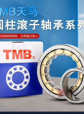 TMB天马圆柱滚子轴承 NUP2203 2204 2205 2206 2207 2208 2209EM/