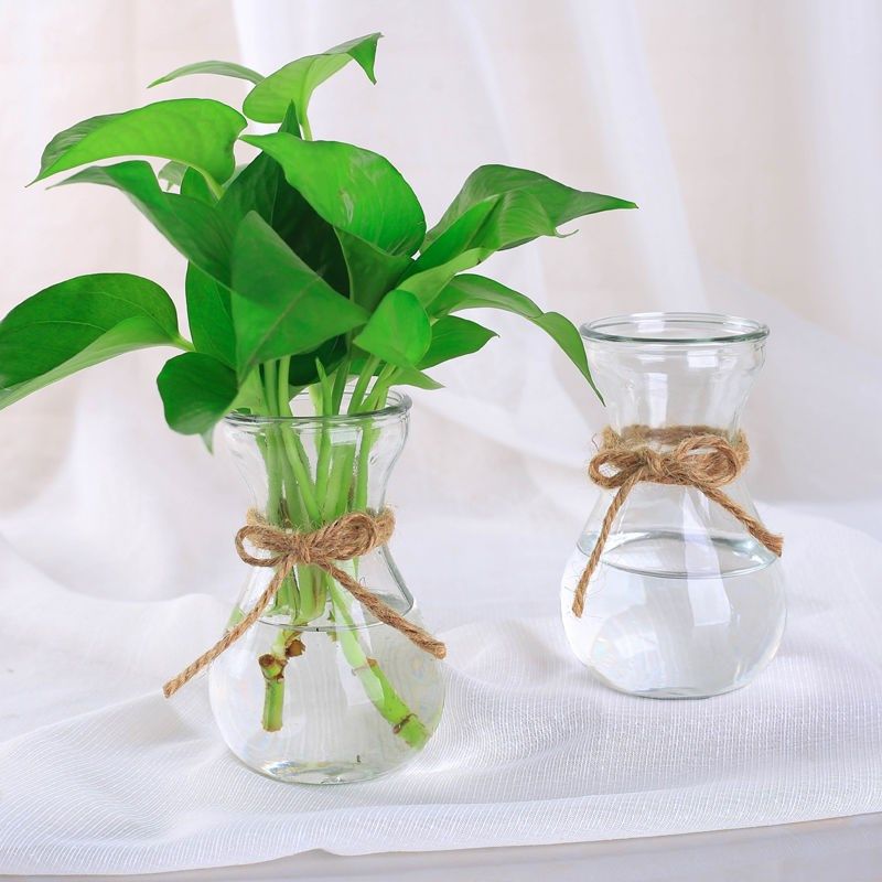 创意简约玻璃花瓶透明水培绿萝植物花瓶花盆风信子插花瓶客厅摆件,鲜花速递/花卉仿真/绿植园艺,花瓶,淘宝优惠券,粉丝福利购,淘宝优惠卷