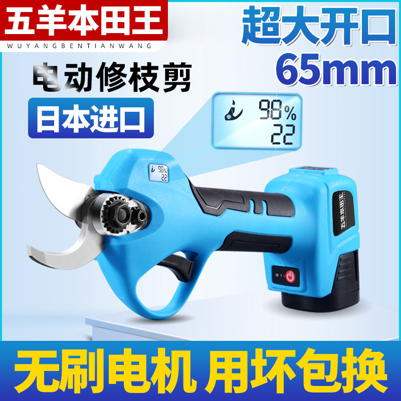 进口电动修枝剪刀果树剪枝进口园艺背负式锂电池充电式高枝电剪子,鲜花速递/花卉仿真/绿植园艺,洒水/浇水壶,淘宝优惠券,粉丝福利购,淘宝优惠卷