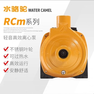 水骆驼RCM离心泵空气能专用管道热水循环增压泵静音大流量