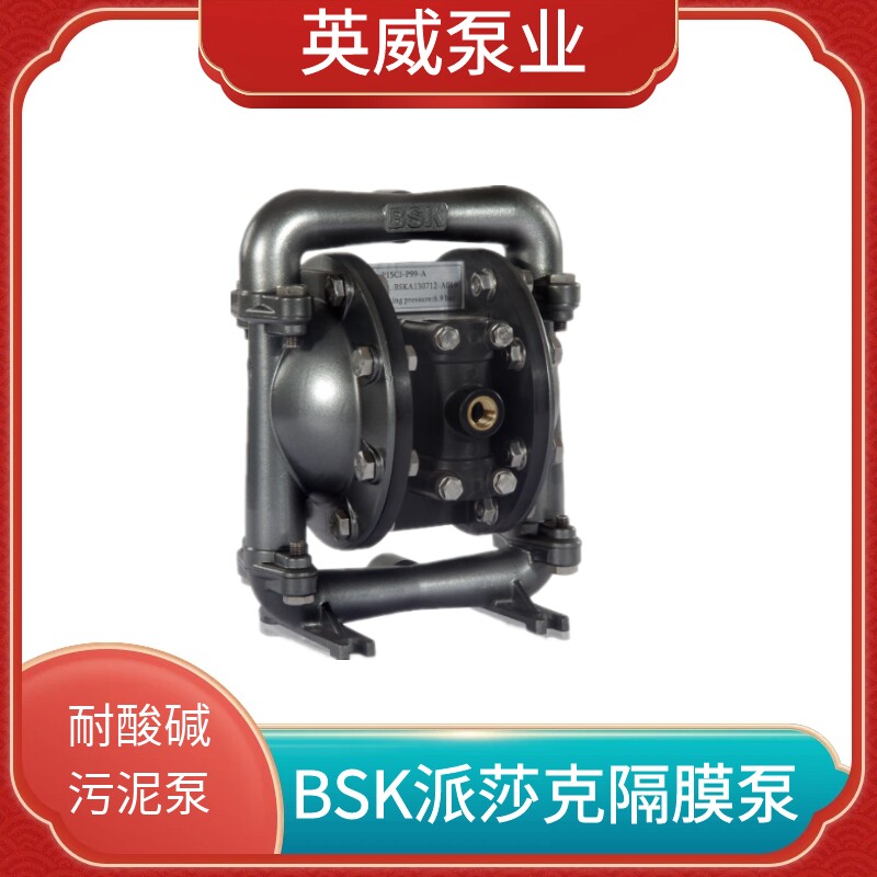 新款美国气动隔膜泵BP06PP-P991/PTT4-B派莎克PP材质2分塑料现货