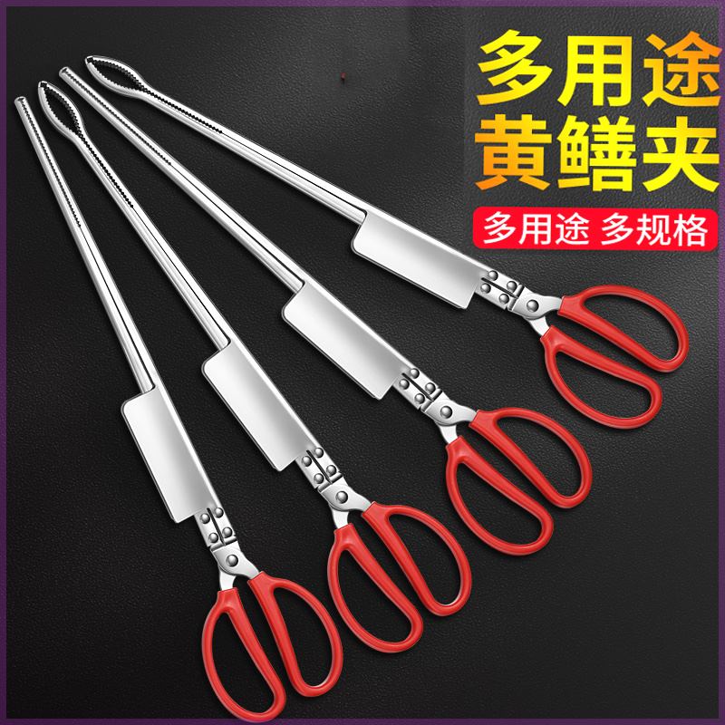 鳝鱼夹泥鳅螃蟹钳子不锈