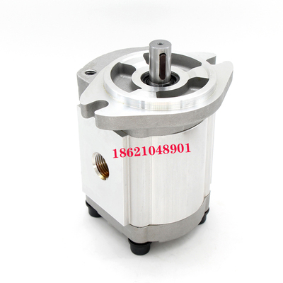 新款P10124567935RG齿