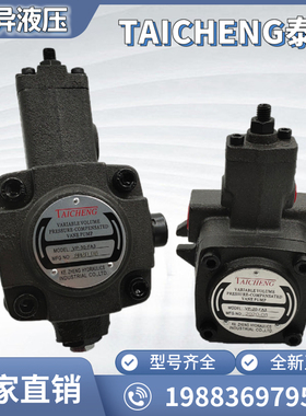 TAICHENG 液压油泵VP-40-FA3叶片泵VP-20-FA3 VP-30-FA3泰成品牌