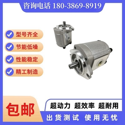 康百世P101RP01GT齿轮泵P102,P127,P135,P104,05,P106/7/9油泵