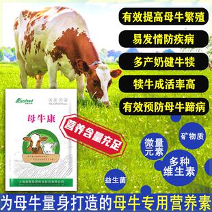 母牛下奶催奶饲料添加剂产后康牛饲料母牛催孕母牛催奶催奶多专用