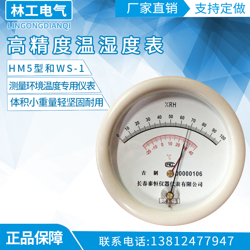 长春泰恒专业级WS-1温湿度表THM-1毛发温度湿度计 干湿度药厂专用