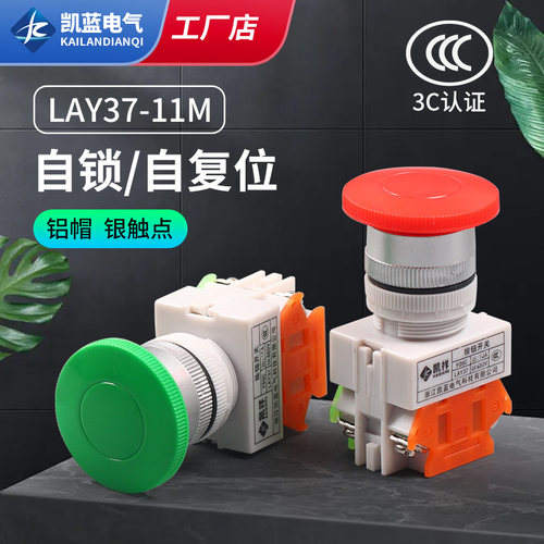 蘑菇头按钮复位自锁型停