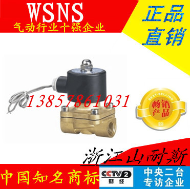 浙江山耐斯二位通铜阀体