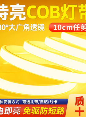 led灯带220v客厅家用吊顶自粘灯条户外超亮室外COB灯带条防水白光