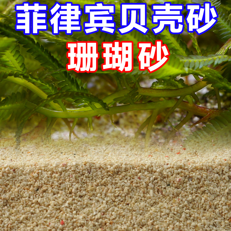 菲律宾珊瑚沙砂鱼缸底造