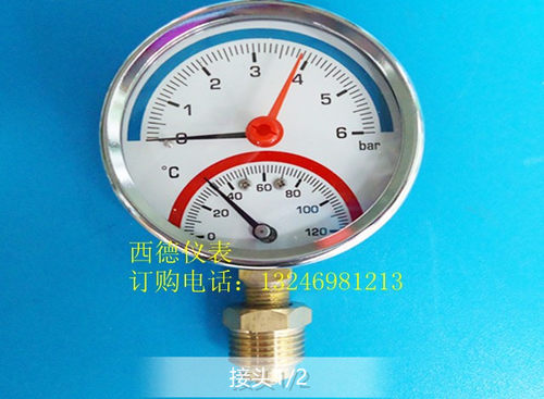 直立式压力温度表一体双