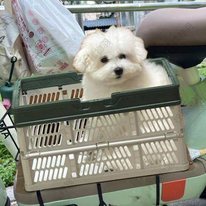 电动车带狗狗神器摩托车宠物踏板车筐便携透气载狗骑行防掉踏板篮