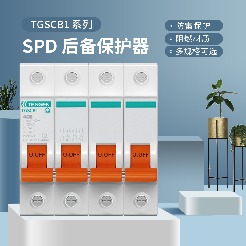 天正TGSCB1电涌浪涌后备保护器SPD防避雷器4P前端分断开关二级T2*