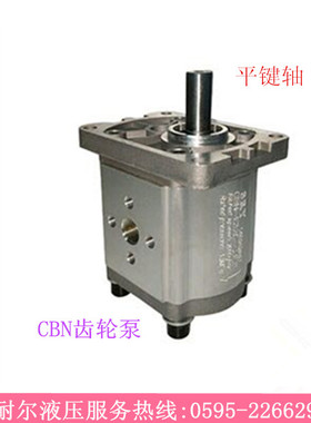SR液压油泵 齿轮泵CBN CBT F304 F306 F310 F314 F316 E320 G325