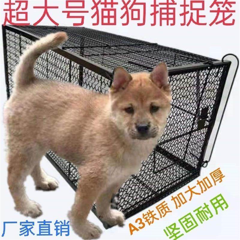 人道救助捕猫笼户外专业
