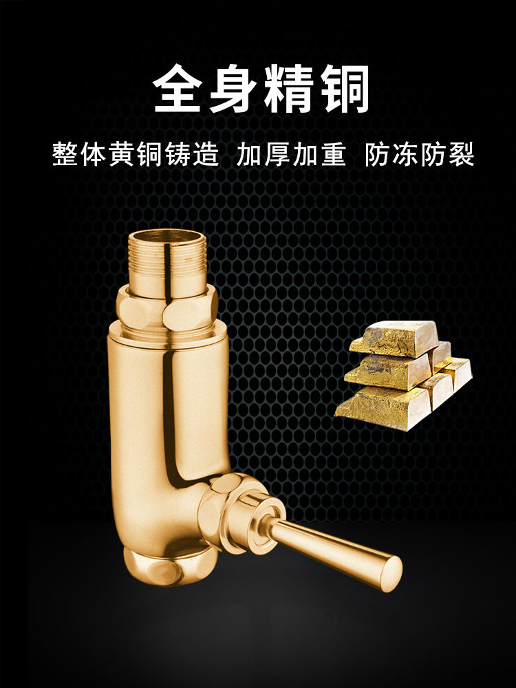 时龙 全铜按钮脚踏式冲水阀 大小便器延时阀 小便斗冲洗阀开关阀