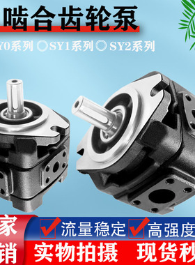 内啮油泵齿轮泵HG0-08/10/13/16/20HG1-25/32/40/50/63-01R-VPC