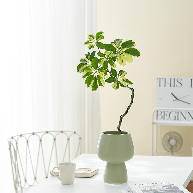 高级感奶油风简约陶瓷花