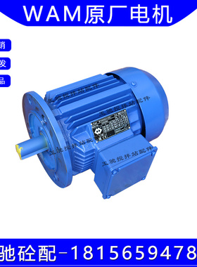 意大利WAM威埃姆电机螺旋机3KW~22KW高精度三相异步MT电机马达
