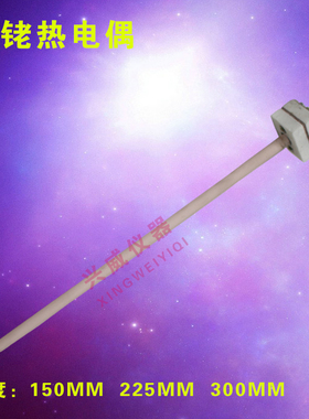 高温铂铑热电偶 WRP-100 分度号S L=300mm 8-13箱式电阻炉专用