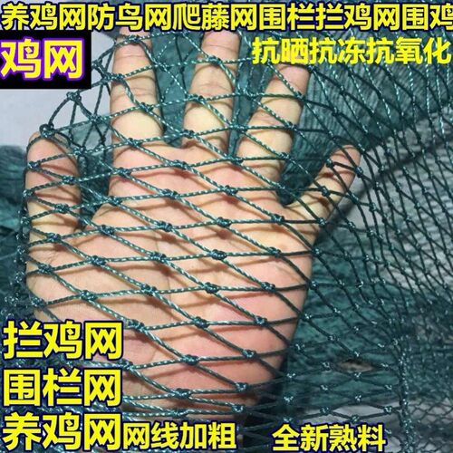 鸡鸭鹅围养护栏家禽养鸡网拦鸡网养殖网菜园网护栏网围山鸡网防鸡