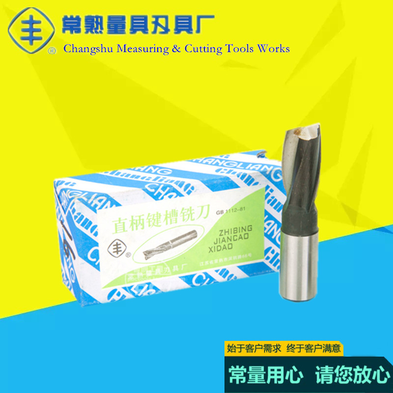 正品常熟丰牌高速钢直柄键槽铣刀2.0-20mm 常量2刃两齿白钢铣刀