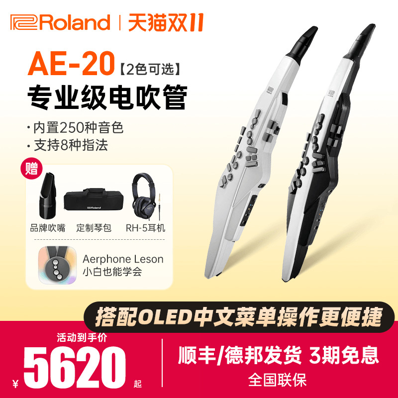 罗兰电吹管AE20/30中老年初学者