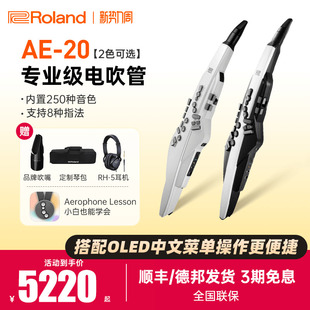 Roland罗兰电吹管AE20中老年人娱乐初学练习电子萨克斯葫芦丝AE30