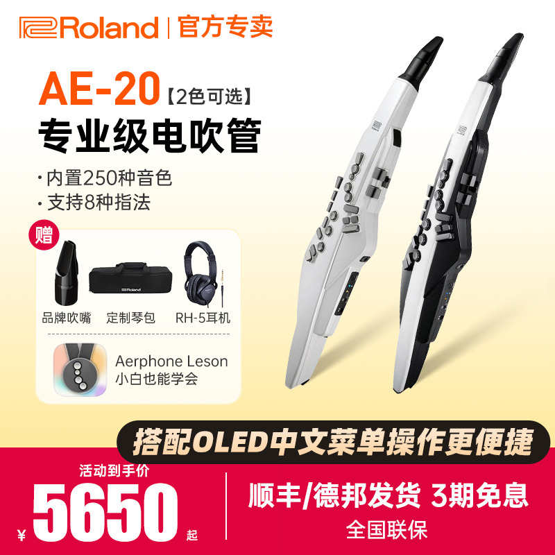 罗兰电吹管AE20/30中老年初学者