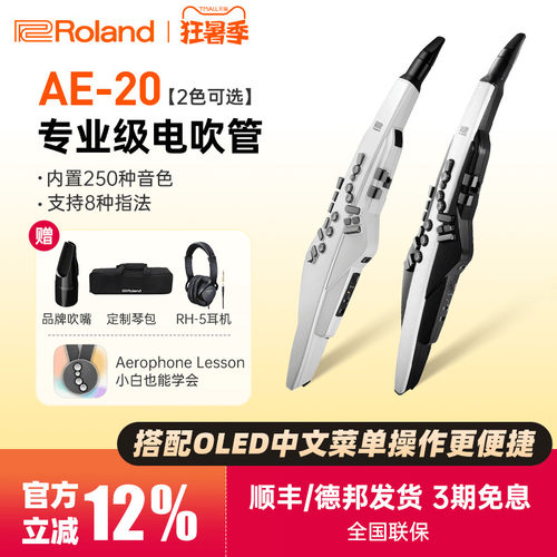 罗兰电吹管AE20/30中老年初学者