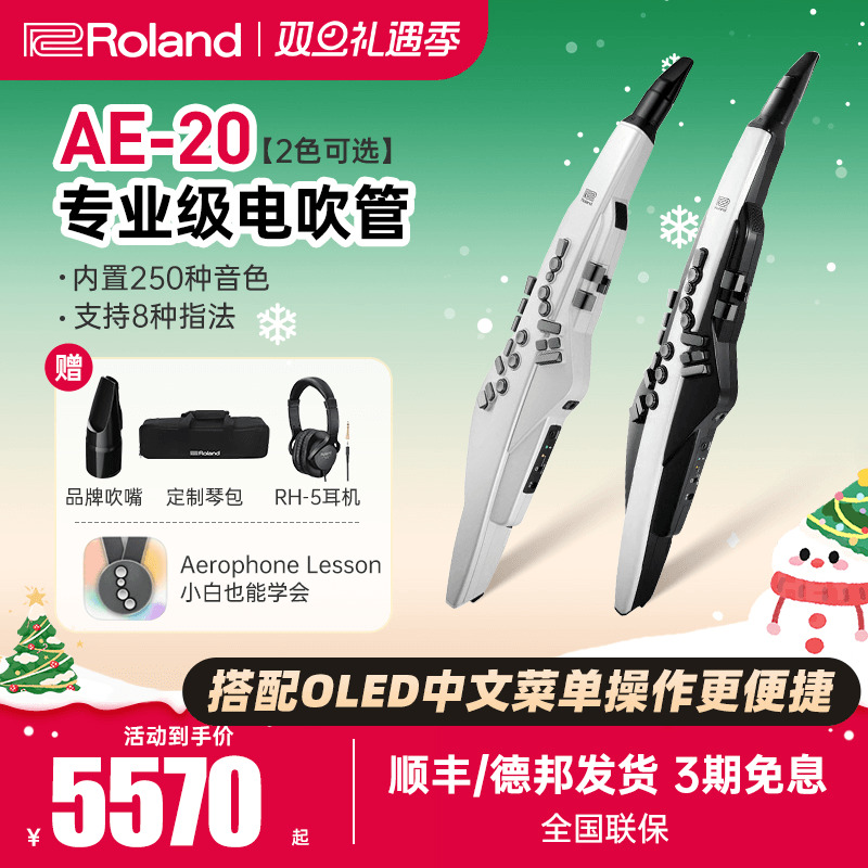 罗兰电吹管AE20/30中老年初学者